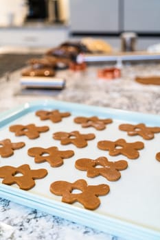 Gingerbread cookies, perfectly chilled and arranged on a baking sheet lined with parchment paper, await their turn to bake in the oven.