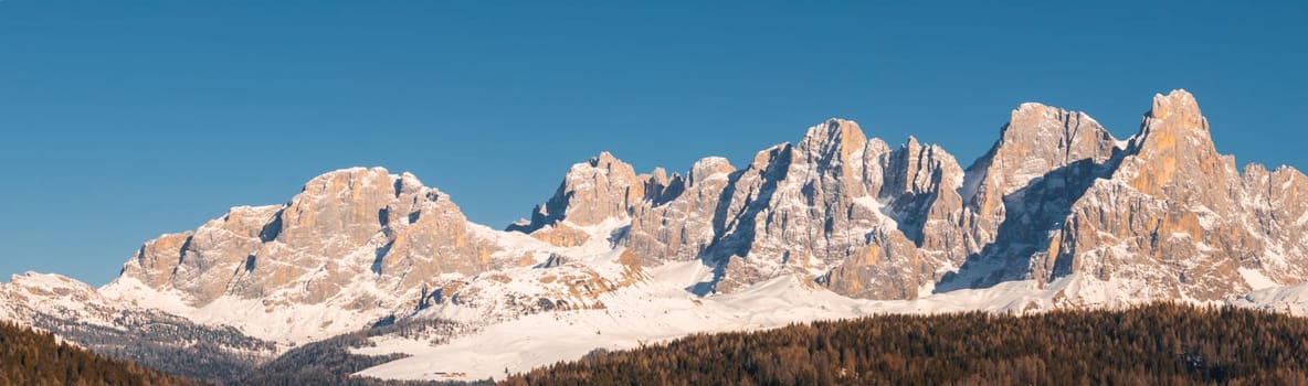 The Dolomite mountain range in South Tyrol, Italy, features jagged, sunlit peaks above a dense evergreen forest under a clear blue sky.