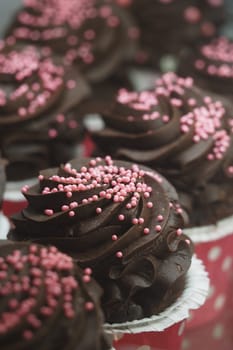 Chocolate cupcakes with rich frosting and sprinkles delight guests.