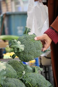 A person inspects fresh broccoli at an outdoor market during daylight.