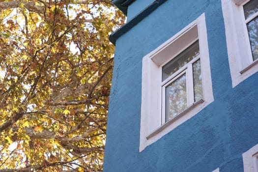 Bright blue wall features a window beneath autumn foliage.