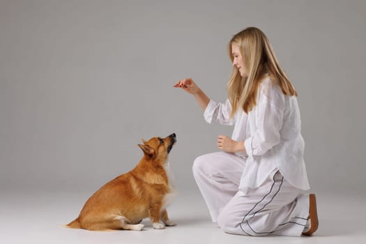 Young woman trains her attentive Welsh Corgi dog with treat in studio, showcasing obedience and bonding.