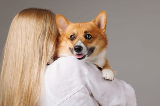 Cute Corgi dog being hugged by a woman, showing affection and happiness, close-up on neutral background.