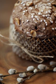 Close-up of traditional Easter sweet bread with hazelnuts and sugar on wooden background with pussy willow.