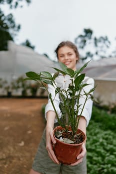 Happy young woman showcasing a potted plant in a greenhouse setting, representing gardening, healthy living, and a connection with nature, perfect for nature enthusiasts