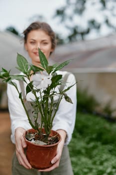 Joyful woman presents a potted plant in a sunny greenhouse, embodying themes of nature, growth, and sustainable living Perfect for gardening and eco friendly concepts