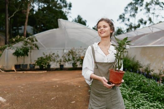 Happy young woman in a green apron holds a houseplant in a greenhouse, symbolizing sustainable gardening and a love for nature, ideal for eco friendly content
