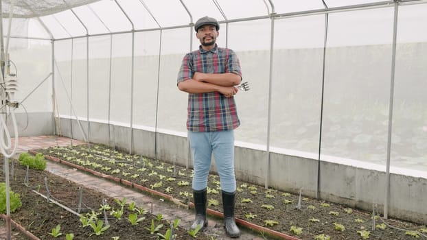 Portrait of confident farmer man standing with arms crossed on vegetable plantation in modern hothouse, Agriculture farming