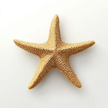 A Starfish with textured surface on white background, evoking summer coastal vibe