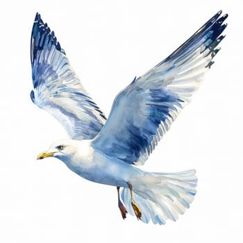 A Watercolor seagull flying with wings spread, isolated on white background, showcasing grace and freedom