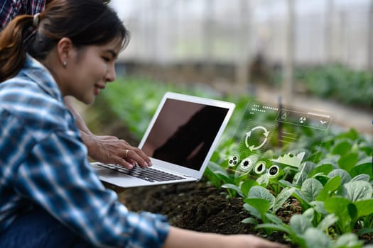 Farmers using laptop with virtual data interface to monitor crop in a greenhouse. Smart farming technology.