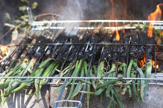 Close-up of fresh calcots being grilled over an open fire on a metal rack, a key part of the traditional Catalan calcotada. The flames and rustic setup highlight the authentic preparation of this seasonal delicacy, commonly enjoyed with romesco sauce. Perfect for concepts related to Mediterranean cuisine, local traditions, and Spanish gastronomy.