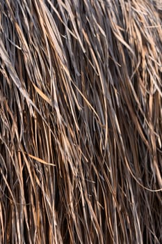 Sunlight dances on the varying shades of dry grass, creating a beautiful interplay of light and shadow in a peaceful countryside setting, evoking a sense of calm and serenity.