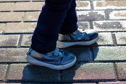 A person is currently wearing a stylish pair of blue shoes while standing on a textured brick sidewalk that enhances the scene