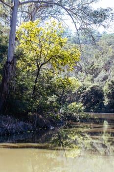 Blue Tongue Bend Walk along the Yarra River as part of Warrandyte State Park on a warm winter's day in Warrandyte, Victoria, Australia.