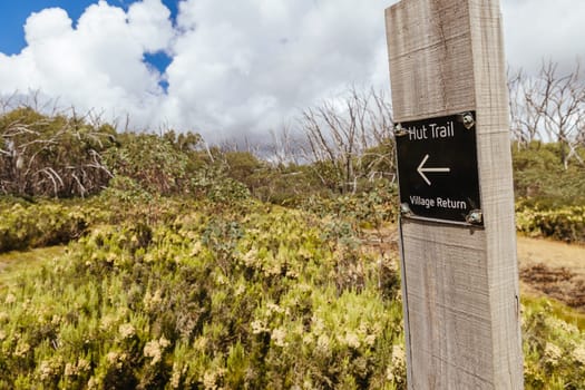 Hiking trails on ski runs around the summit of Lake Mountain on a clear summer's day, near Marysville, Victoria, Australia