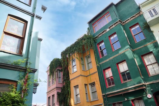 Vibrant buildings line a narrow alley adorned with vines.