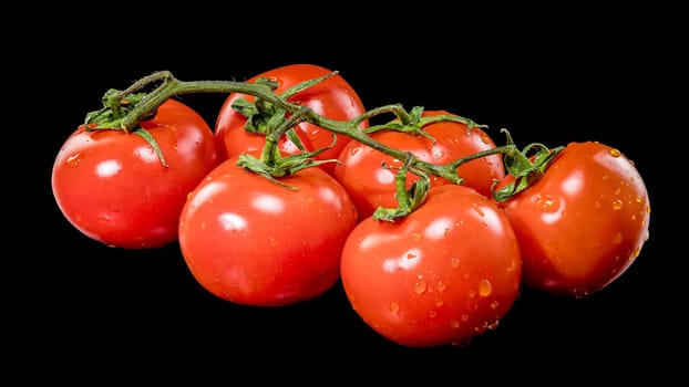 A close-up photo of fresh, ripe tomatoes still on the vine, set against a black background, showcasing their vibrant red color and natural texture