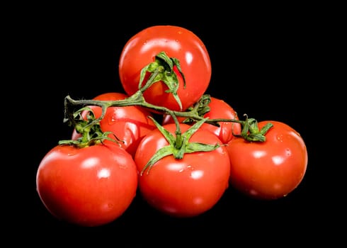 A close-up photo of fresh, ripe tomatoes still on the vine, set against a black background, showcasing their vibrant red color and natural texture