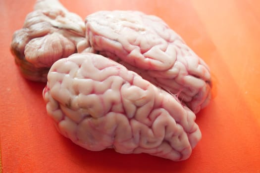 Animal brains displayed on a cutting board, ready for cooking in a kitchen.