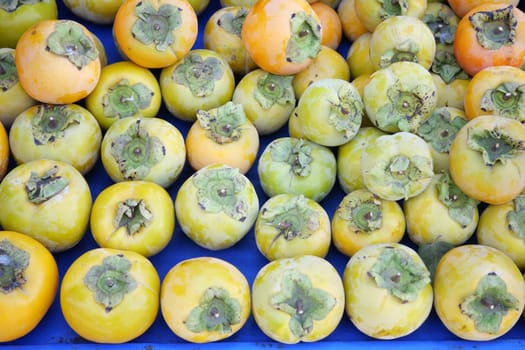Fresh, ripe persimmons fill a vibrant blue crate at a market stall.
