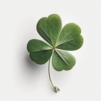 Clover leaves on the white background, created with generative AI