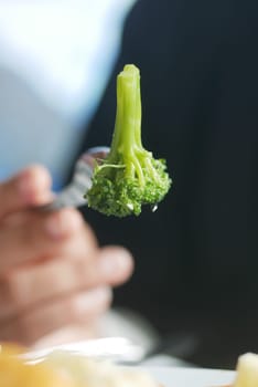 Green broccoli is lifted on a fork, showcasing a healthy meal choice.