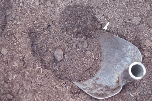 Digging into rich soil with a metal shovel while gardening outside.