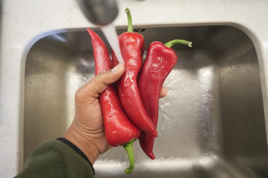 Fresh red chili peppers are being rinsed in a kitchen sink before cooking.
