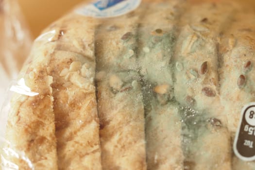 Close-up of bread slices covered in blue mold inside a clear bag.