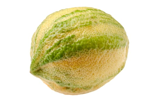 A variegated pink lemon with yellow and green stripes isolated on white background. Its textured skin catches the light, revealing intricate patterns and colors that draw attention to its unusual shape.