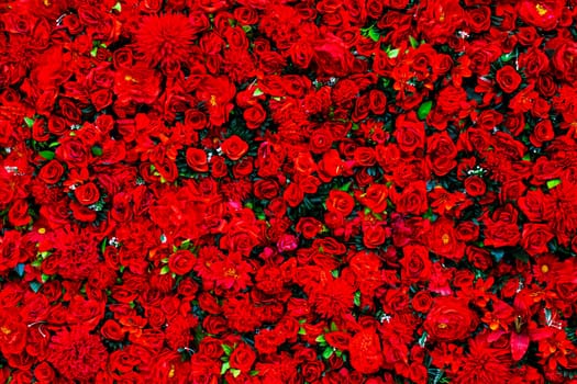 A beautiful bunch of vibrant red roses is blooming and growing in a lovely garden, showcasing their exquisite petals and colors