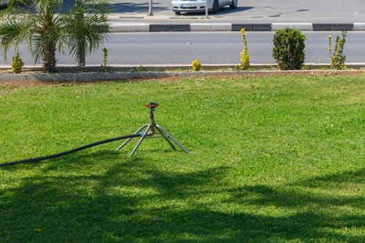 A vibrant, manicured lawn is being watered by a metal sprinkler on a sunny afternoon. Surrounding shrubs and palm trees add to the peaceful suburban ambiance near passing cars.