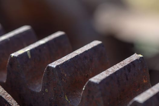 Rusty metal teeth catch the afternoon light, showcasing the intricate design of industrial machinery. Nature's resilience is evident with patches of green moss, hinting at the passage of time.