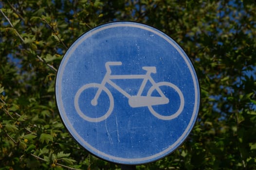 Colorful bike lane signage stands out amidst vibrant green foliage, indicating a dedicated cycling route for outdoor enthusiasts seeking adventure and fresh air.