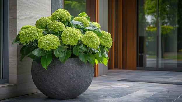 Lush green flowers bloom in a large round pot, positioned elegantly by the entrance of a contemporary building surrounded by natural light and stone pathways.