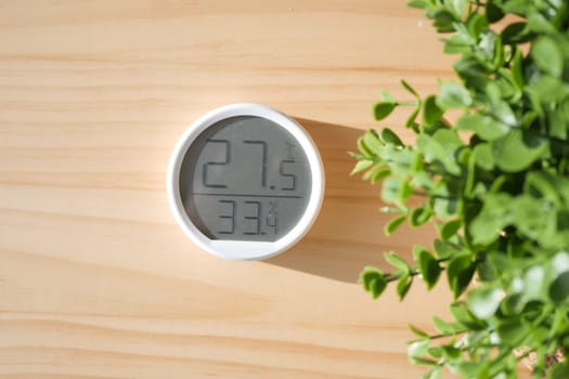 Thermometer shows 27.5 degrees in a bright, plant-filled room.