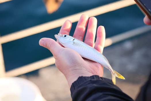 A person shows a small fish in their hand while by the water.