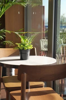 Natural light highlights a small table with a plant in a modern space.