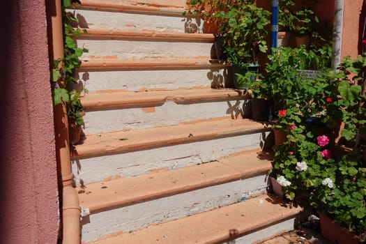 Colorful flowers and plants frame a sunny staircase in a lively garden.
