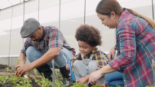 Family with small children gardening farm growing organic vegetables together, Father mother and son help planting a vegetable garden, Concept of healthy eating growing vegetables at home
