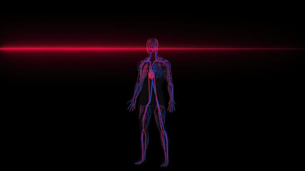 Human Circulatory with neon scanner. Computer generated 3d render
