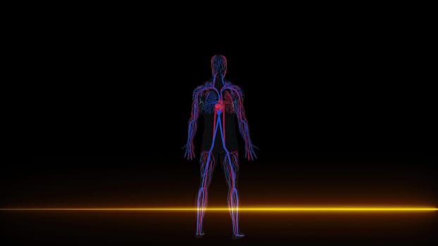 Human Circulatory with neon scanner. Computer generated 3d render