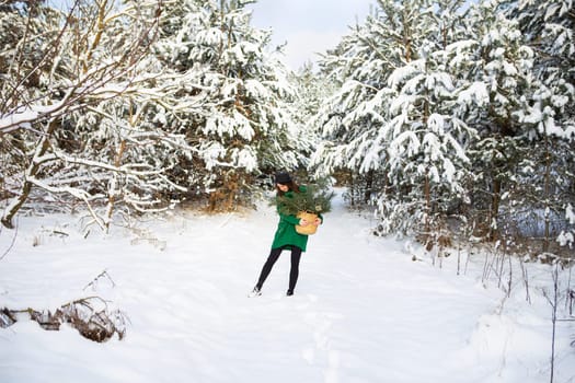 A young beautiful girl in a green sweater and hat stands in the winter forest along with a basket with pine branches