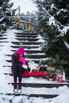 A woman holds and strokes a white and red fluffy cat near a Christmas tree in a basket, lights, gifts. New Year's magical atmosphere of coziness, love and warmth