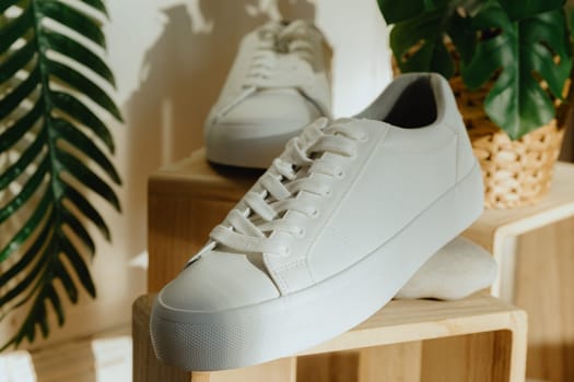 One beautiful white classic high-soled sneaker stands resting on natural stone on wooden display cases with flowers on the floor near the door in a home store on a sunny day, top side view very close up with depth of field. Women's shoes concept, product advertising.