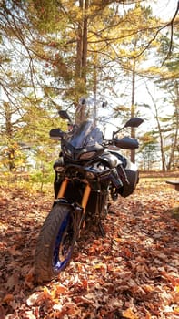 Ottawa ON Canada - 07.27.2024: Yamaha Tracer 900 GT adventure motorcycle parked on a scenic forest trail with autumn foliage