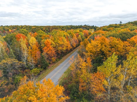 A picturesque road meanders its way through a forest filled with trees displaying vibrant fall colors, creating a stunning landscape perfect for nature lovers and outdoor enthusiasts.