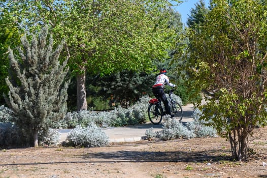 A cyclist pedals along a winding path surrounded by vibrant greenery and blooming shrubs. The bright sunlight adds warmth to the serene atmosphere, inviting relaxation and joy.