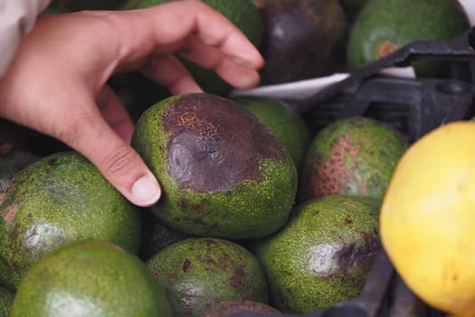 A hand reaches for a ripe avocado among fresh produce at the market.